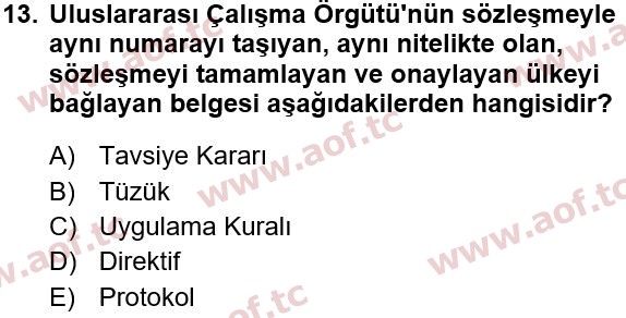 2015 İş Sağlığı ve Güvenliği Yaz Okulu 13. Çıkmış Sınav Sorusu