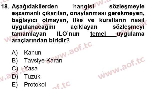 2020 İş Sağlığı ve Güvenliği Yaz Okulu 18. Çıkmış Sınav Sorusu