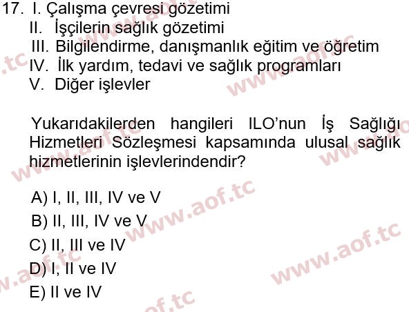 2022 İş Sağlığı ve Güvenliği Final 17. Çıkmış Sınav Sorusu
