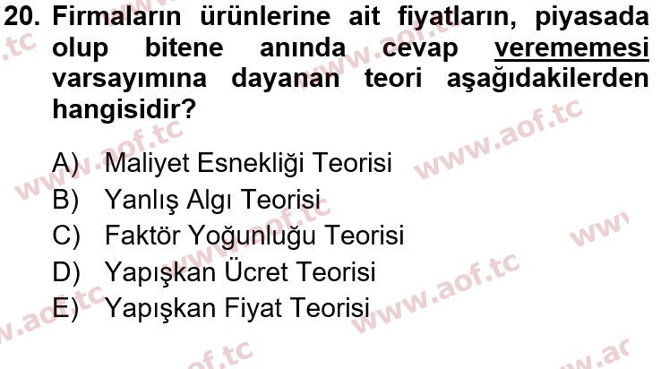 2017 İktisada Giriş 2 Yaz Okulu 20. Çıkmış Sınav Sorusu