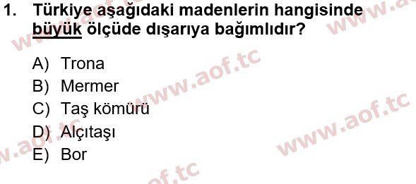 2015 Türkiye Ekonomisi Yaz Okulu 1. Çıkmış Sınav Sorusu