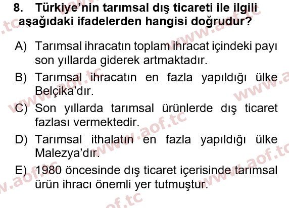 2015 Türkiye Ekonomisi Yaz Okulu 8. Çıkmış Sınav Sorusu