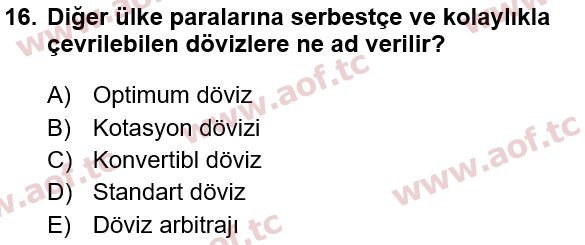 2016 Türkiye Ekonomisi Yaz Okulu 16. Çıkmış Sınav Sorusu