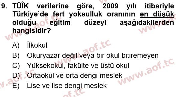 2016 Türkiye Ekonomisi Yaz Okulu 9. Çıkmış Sınav Sorusu