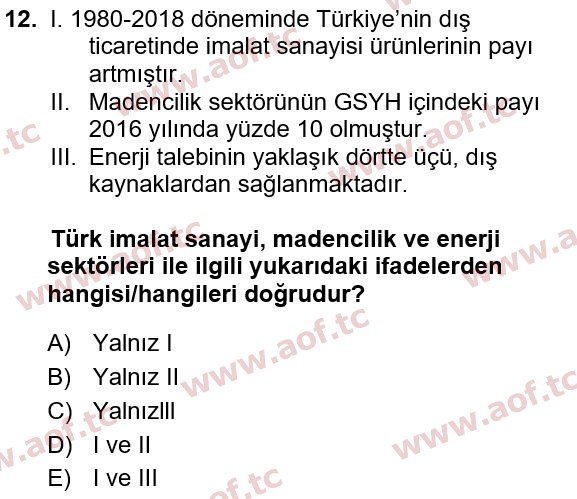 2023 Türkiye Ekonomisi Yaz Okulu 12. Çıkmış Sınav Sorusu