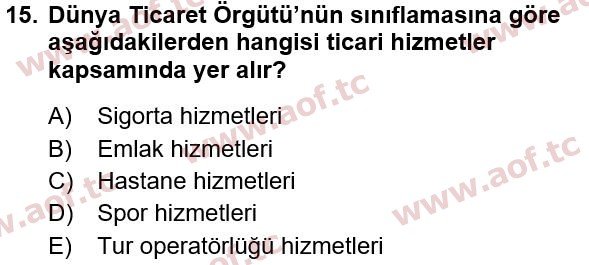 2023 Türkiye Ekonomisi Yaz Okulu 15. Çıkmış Sınav Sorusu