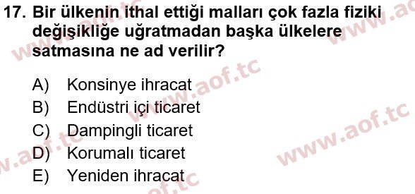 2023 Türkiye Ekonomisi Yaz Okulu 17. Çıkmış Sınav Sorusu