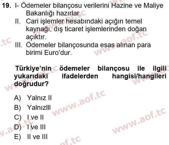 2023 Türkiye Ekonomisi Yaz Okulu 19. Çıkmış Sınav Sorusu