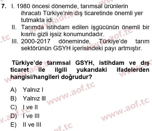 2023 Türkiye Ekonomisi Yaz Okulu 7. Çıkmış Sınav Sorusu