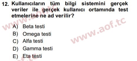 2018 İşletme Bilgi Sistemleri Arasınav 12. Çıkmış Sınav Sorusu