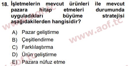 2019 Pazarlama Yönetimi Arasınav 18. Çıkmış Sınav Sorusu