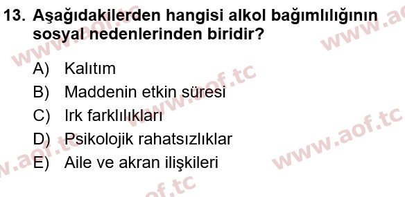 2022 Sağlık Psikolojisi Yaz Okulu 13. Çıkmış Sınav Sorusu