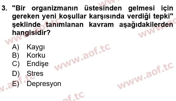 2022 Sağlık Psikolojisi Yaz Okulu 3. Çıkmış Sınav Sorusu