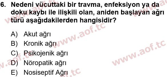 2022 Sağlık Psikolojisi Yaz Okulu 6. Çıkmış Sınav Sorusu