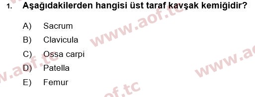 2017 Tıp Terimleri Arasınav 1. Çıkmış Sınav Sorusu