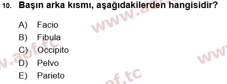 2017 Tıp Terimleri Arasınav 10. Çıkmış Sınav Sorusu