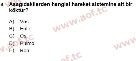 2017 Tıp Terimleri Arasınav 5. Çıkmış Sınav Sorusu