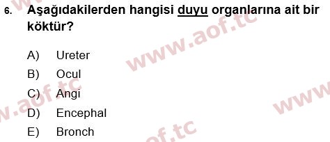 2017 Tıp Terimleri Arasınav 6. Çıkmış Sınav Sorusu