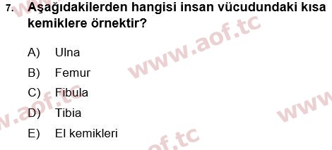 2017 Tıp Terimleri Arasınav 7. Çıkmış Sınav Sorusu