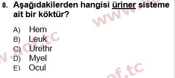 2017 Tıp Terimleri Arasınav 8. Çıkmış Sınav Sorusu