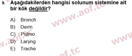 2017 Tıp Terimleri Arasınav 9. Çıkmış Sınav Sorusu
