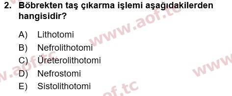 2017 Tıp Terimleri Final 2. Çıkmış Sınav Sorusu