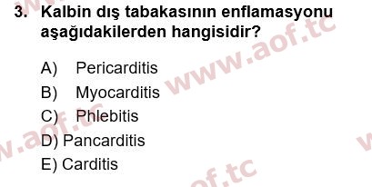 2017 Tıp Terimleri Final 3. Çıkmış Sınav Sorusu