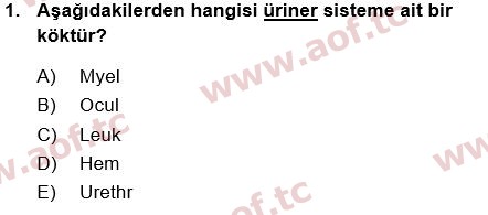 2018 Tıp Terimleri Yaz Okulu 1. Çıkmış Sınav Sorusu