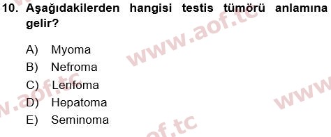 2018 Tıp Terimleri Yaz Okulu 10. Çıkmış Sınav Sorusu