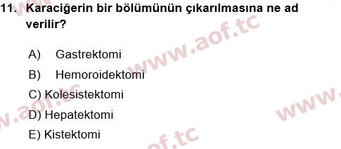 2018 Tıp Terimleri Yaz Okulu 11. Çıkmış Sınav Sorusu