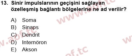 2018 Tıp Terimleri Yaz Okulu 13. Çıkmış Sınav Sorusu