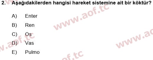 2018 Tıp Terimleri Yaz Okulu 2. Çıkmış Sınav Sorusu