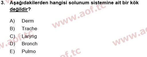 2018 Tıp Terimleri Yaz Okulu 3. Çıkmış Sınav Sorusu