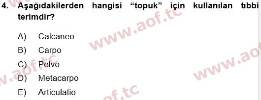 2018 Tıp Terimleri Yaz Okulu 4. Çıkmış Sınav Sorusu