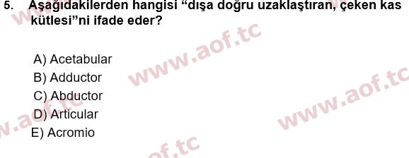 2018 Tıp Terimleri Yaz Okulu 5. Çıkmış Sınav Sorusu