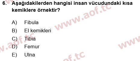 2018 Tıp Terimleri Yaz Okulu 6. Çıkmış Sınav Sorusu