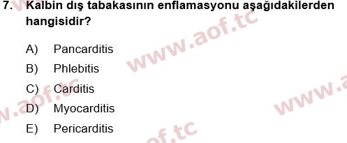 2018 Tıp Terimleri Yaz Okulu 7. Çıkmış Sınav Sorusu