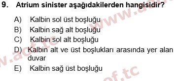 2018 Tıp Terimleri Yaz Okulu 9. Çıkmış Sınav Sorusu