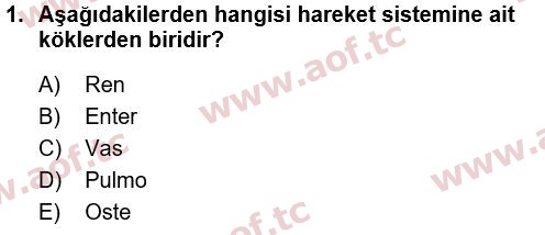 2022 Tıp Terimleri Arasınav 1. Çıkmış Sınav Sorusu