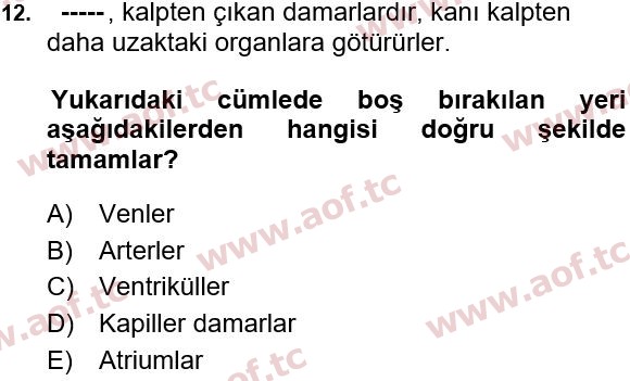 2022 Tıp Terimleri Arasınav 12. Çıkmış Sınav Sorusu
