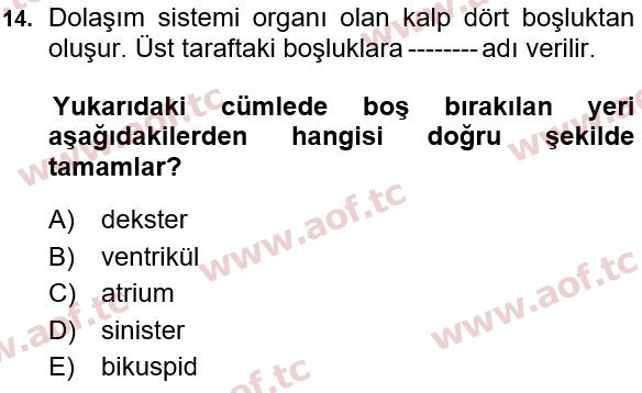2022 Tıp Terimleri Arasınav 14. Çıkmış Sınav Sorusu
