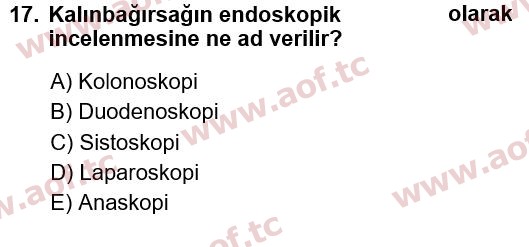 2022 Tıp Terimleri Arasınav 17. Çıkmış Sınav Sorusu
