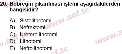 2022 Tıp Terimleri Arasınav 20. Çıkmış Sınav Sorusu