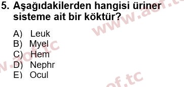 2022 Tıp Terimleri Arasınav 5. Çıkmış Sınav Sorusu