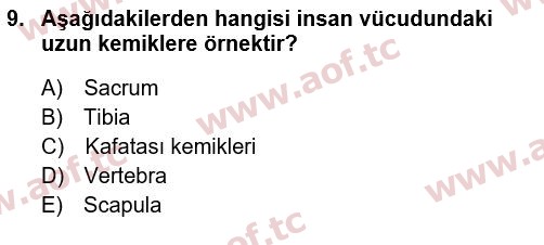 2022 Tıp Terimleri Arasınav 9. Çıkmış Sınav Sorusu