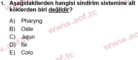 2022 Tıp Terimleri Yaz Okulu 1. Çıkmış Sınav Sorusu