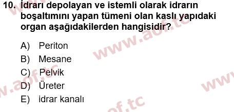 2022 Tıp Terimleri Yaz Okulu 10. Çıkmış Sınav Sorusu