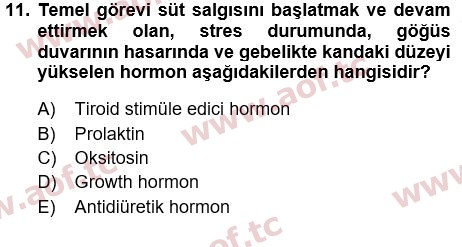 2022 Tıp Terimleri Yaz Okulu 11. Çıkmış Sınav Sorusu