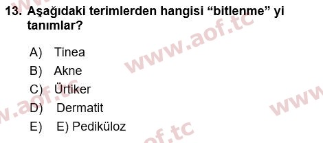 2022 Tıp Terimleri Yaz Okulu 13. Çıkmış Sınav Sorusu