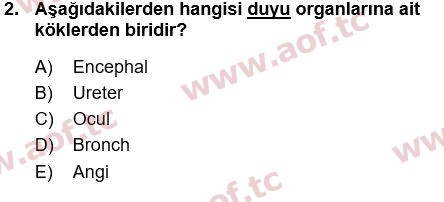 2022 Tıp Terimleri Yaz Okulu 2. Çıkmış Sınav Sorusu